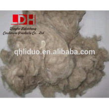 Brown wool waste fiber